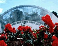 adelaide-botanical-gardens.gif