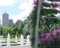 brisbane-park.gif