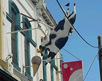fitzroy.gif