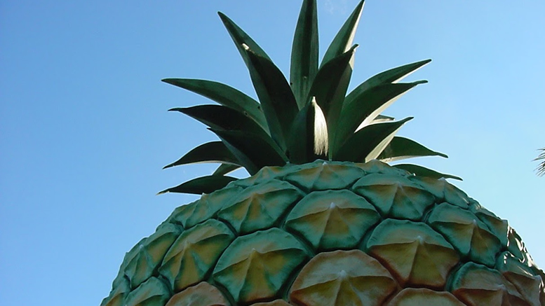 Big Pineapple Queensland
