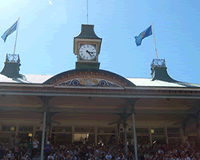 scg.gif