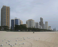 surfers-beach1.gif
