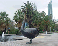 swan1.gif