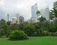 sydney-domain.gif